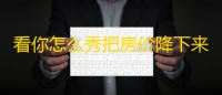 看你怎么秀把房价降下来攻略